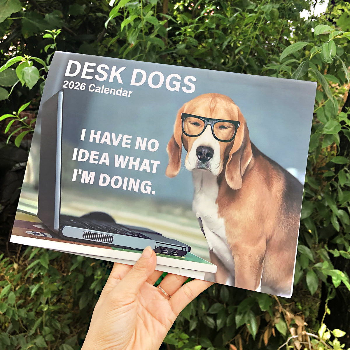 2026 New Stylish Dogs Pooping Creative Calendar