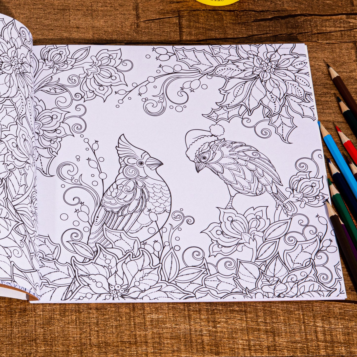 Magical Winter Coloring Book